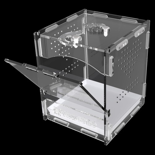Jumping spider enclosure - spider,