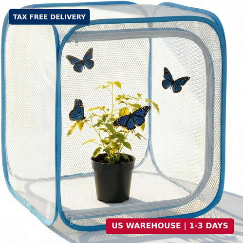 Insect butterfly habitat - insect, &