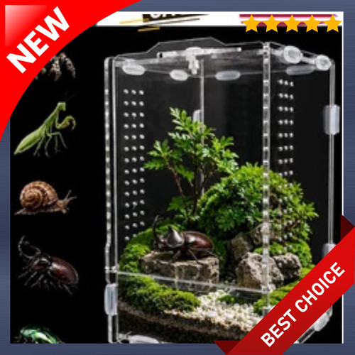 Jumping spider enclosure - jumping,