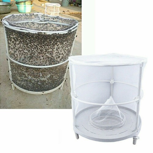 Fly trap killer catcher - killer,