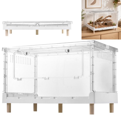 Jumping spider enclosure - jumping,