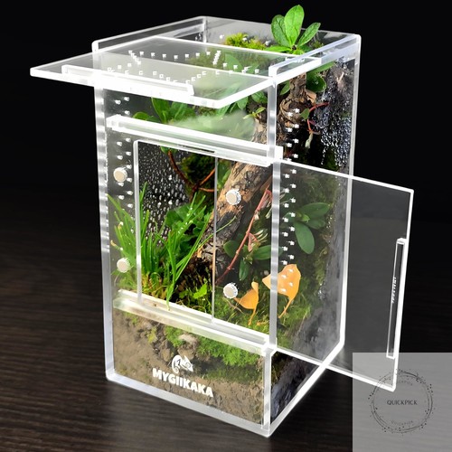Jumping spider enclosure - jumping,
