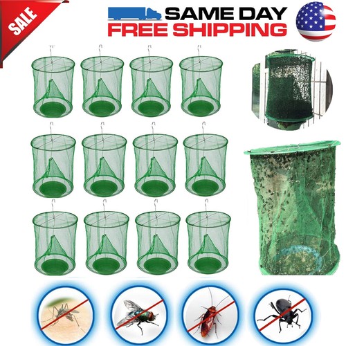 Lot fly trap ranch - lot,
