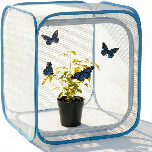 Insect butterfly habitat - &,