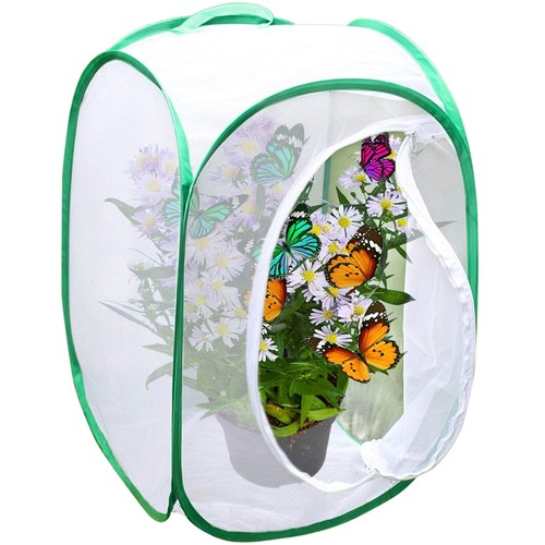 Foldable butterfly habitat - foldable,
