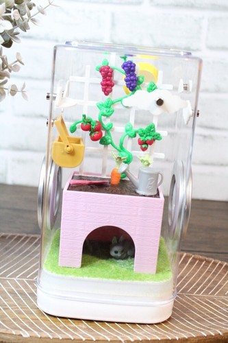 Jumping spider enclosure - jumping,