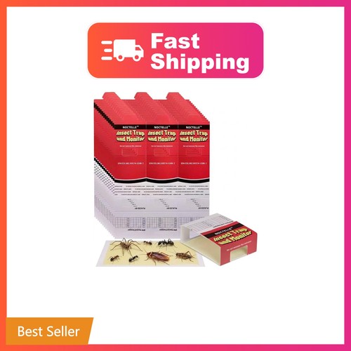 Pack spider traps - 30,